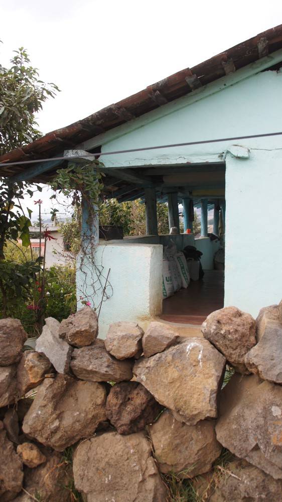 FOTOGRAFÍA [562 x 1000 px]