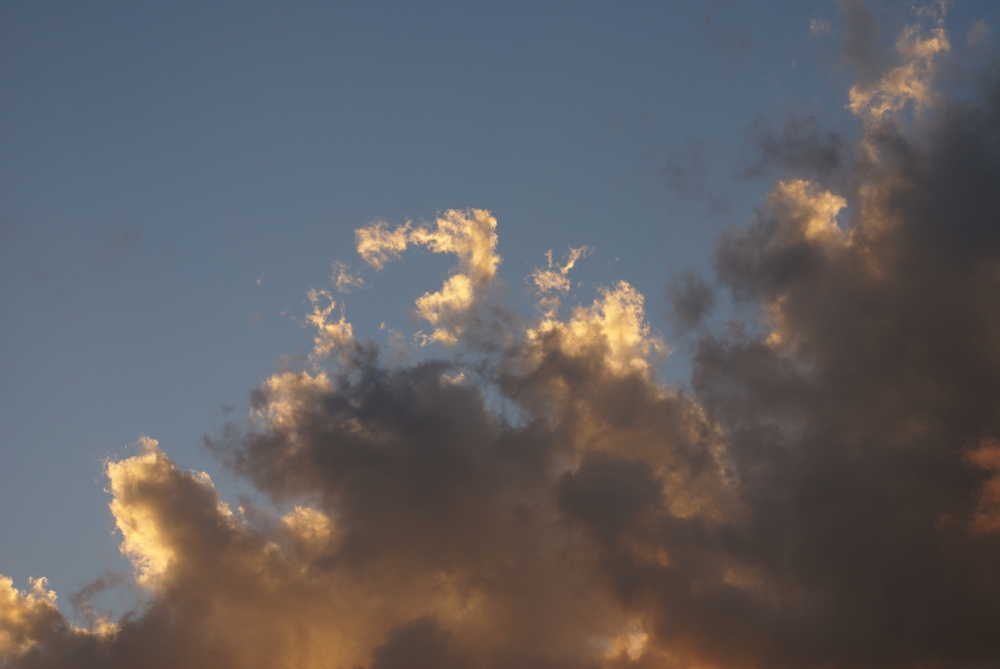 FOTOGRAFÍA III [1000 x 669 px]