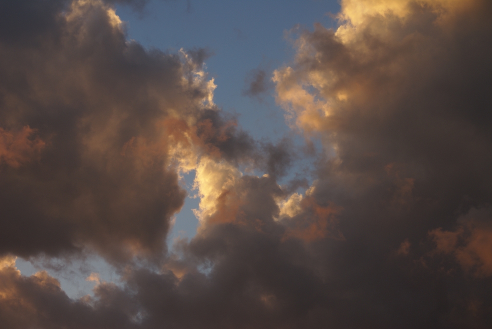 FOTOGRAFÍA II [1000 x 669 px]