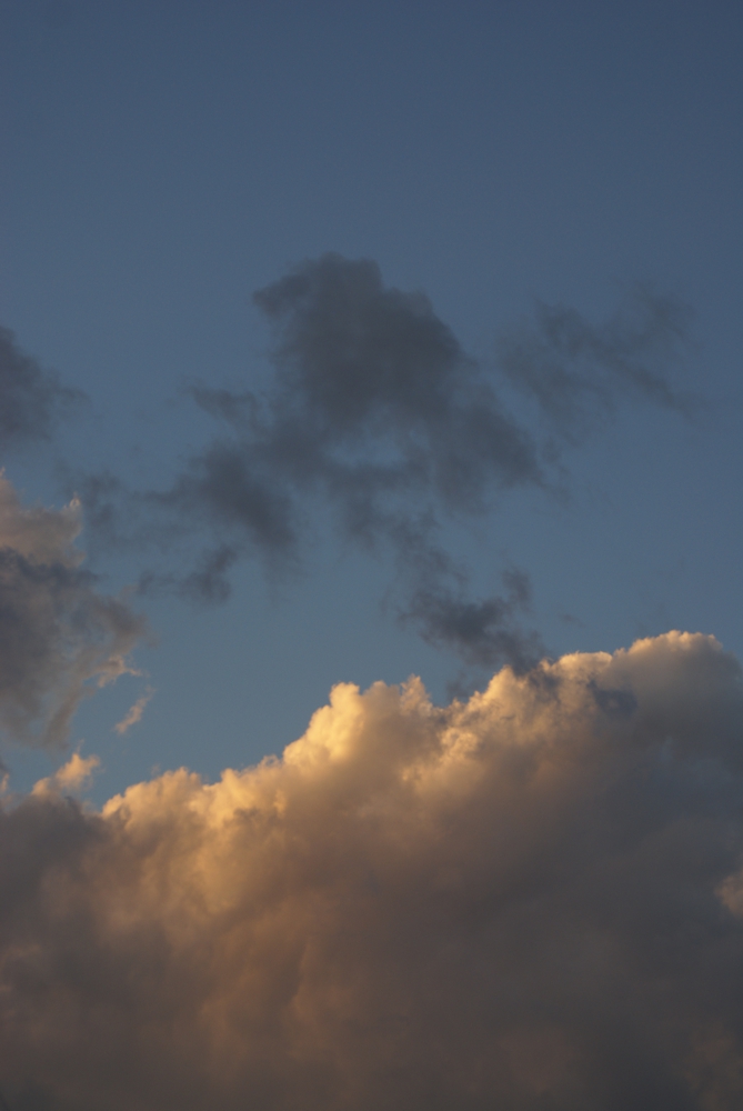 FOTOGRAFÍA IV [669 x 1000 px]