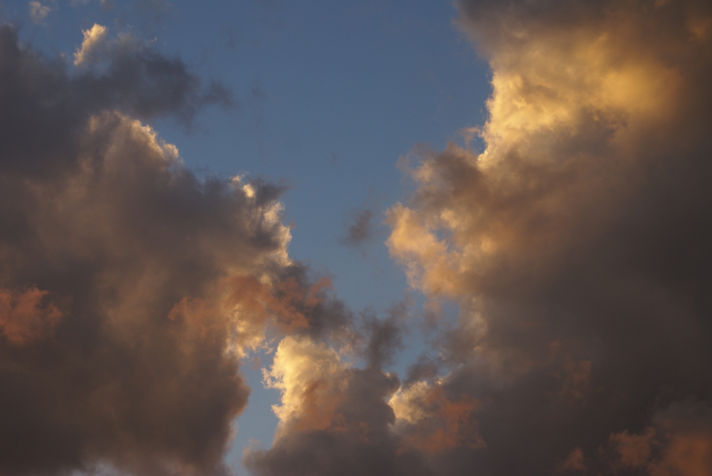 FOTOGRAFÍA I [1000 x 669 px]