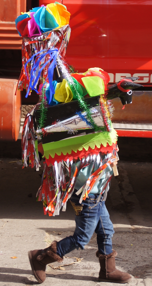 FOTOGRAFÍA [532 x 1000 px]