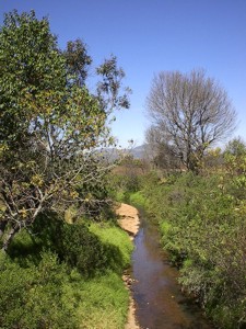 FOTOGRAFÍA del arroyo